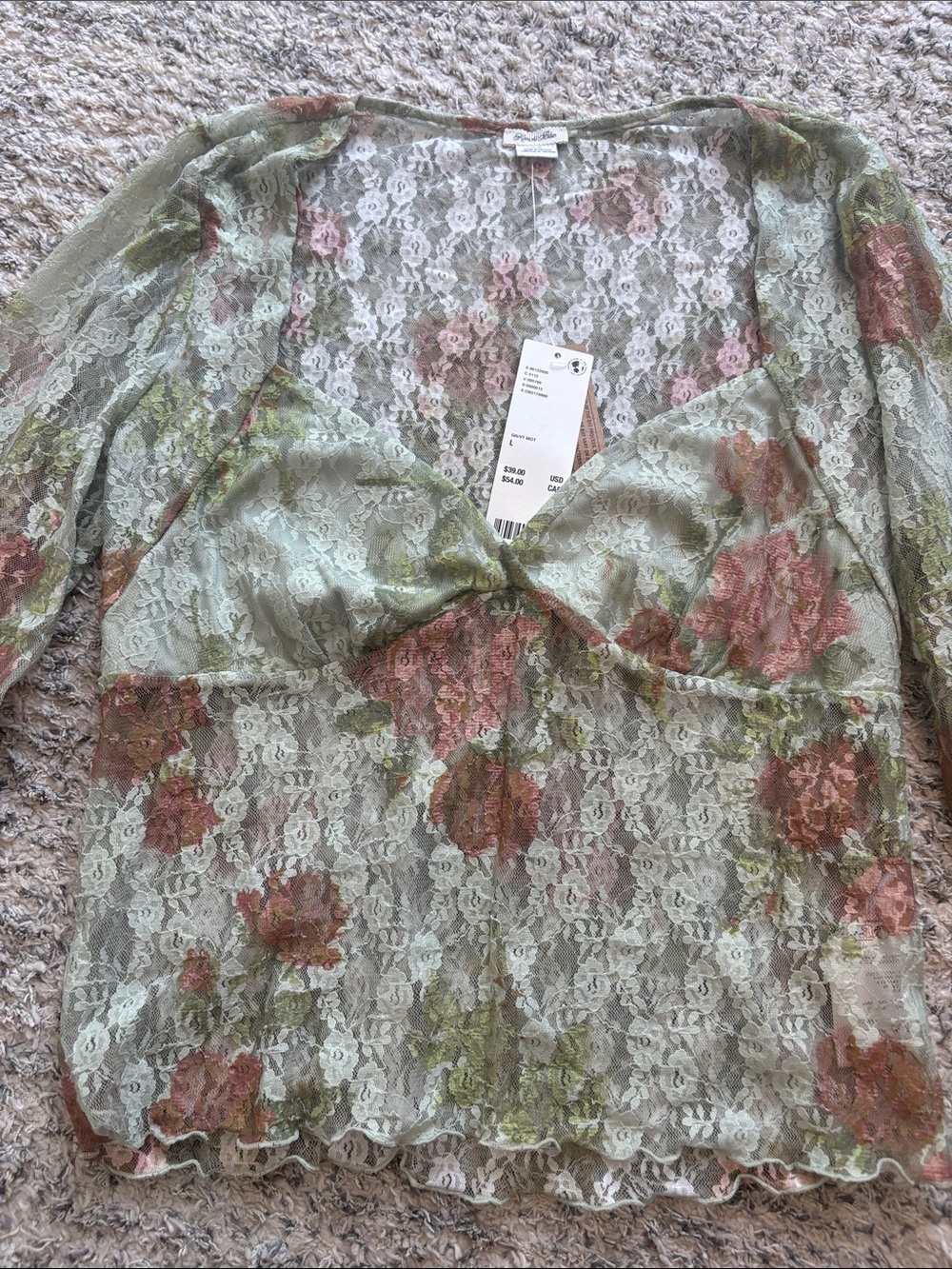 Kimchi Blue Sheer Lace Floral Blouse in Sage Green and Dusty Rose